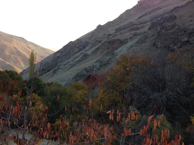 طبیعت زرد پاییزی هنگام صعود به قله توچال از مسیر آهار - شکرآب - توچال 